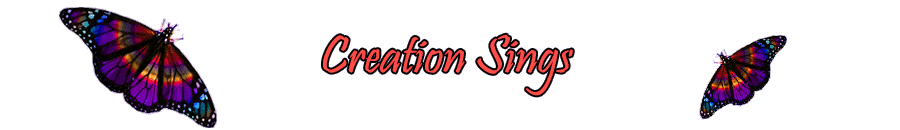 Creation Sings page banner